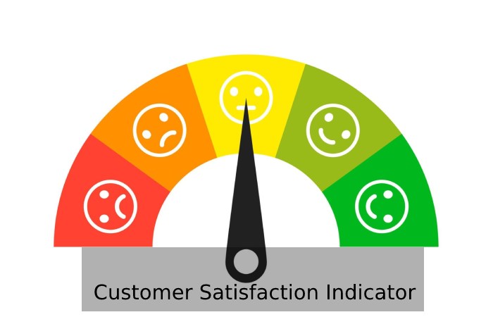 Customer Satisfaction Indicator