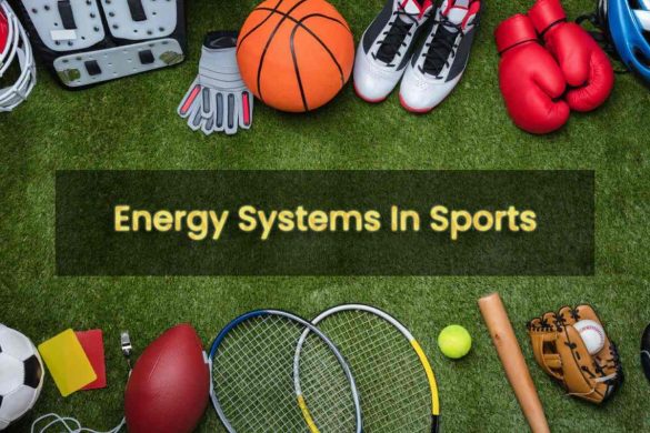 Energy Systems In Sports