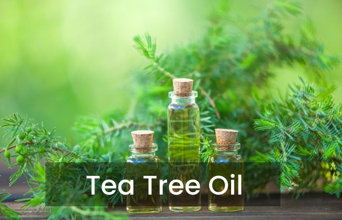 Tea Tree Oil