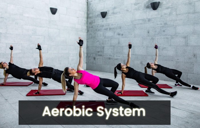 aerobic systems