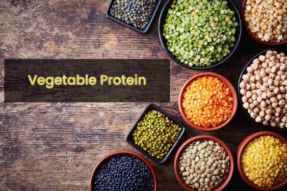 Vegetable Protein