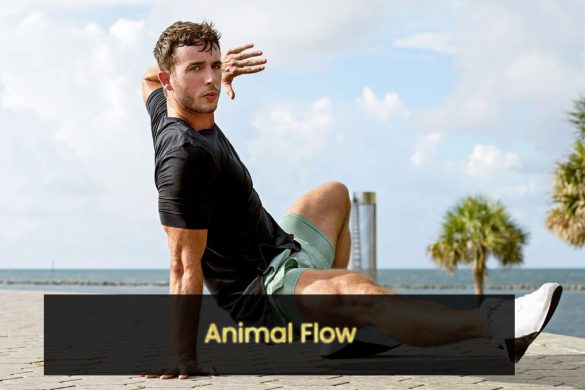 animal flow